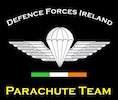 Defence Forces Ireland logo